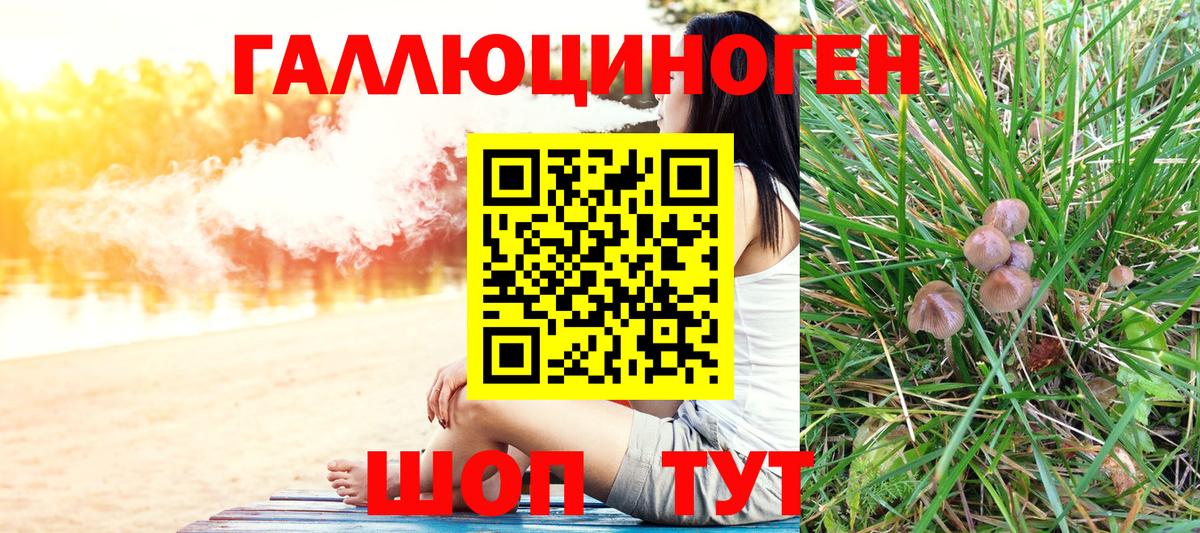 Псилоцибиновые грибы Magic Shrooms Сланцы