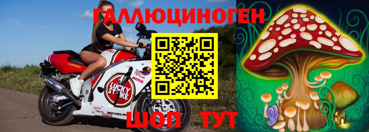 Сланцы  Галлюциногенные грибы Psilocybine cubensis  где купить наркоту  Вход с VPN 